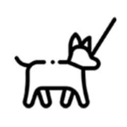 Pasear al perro